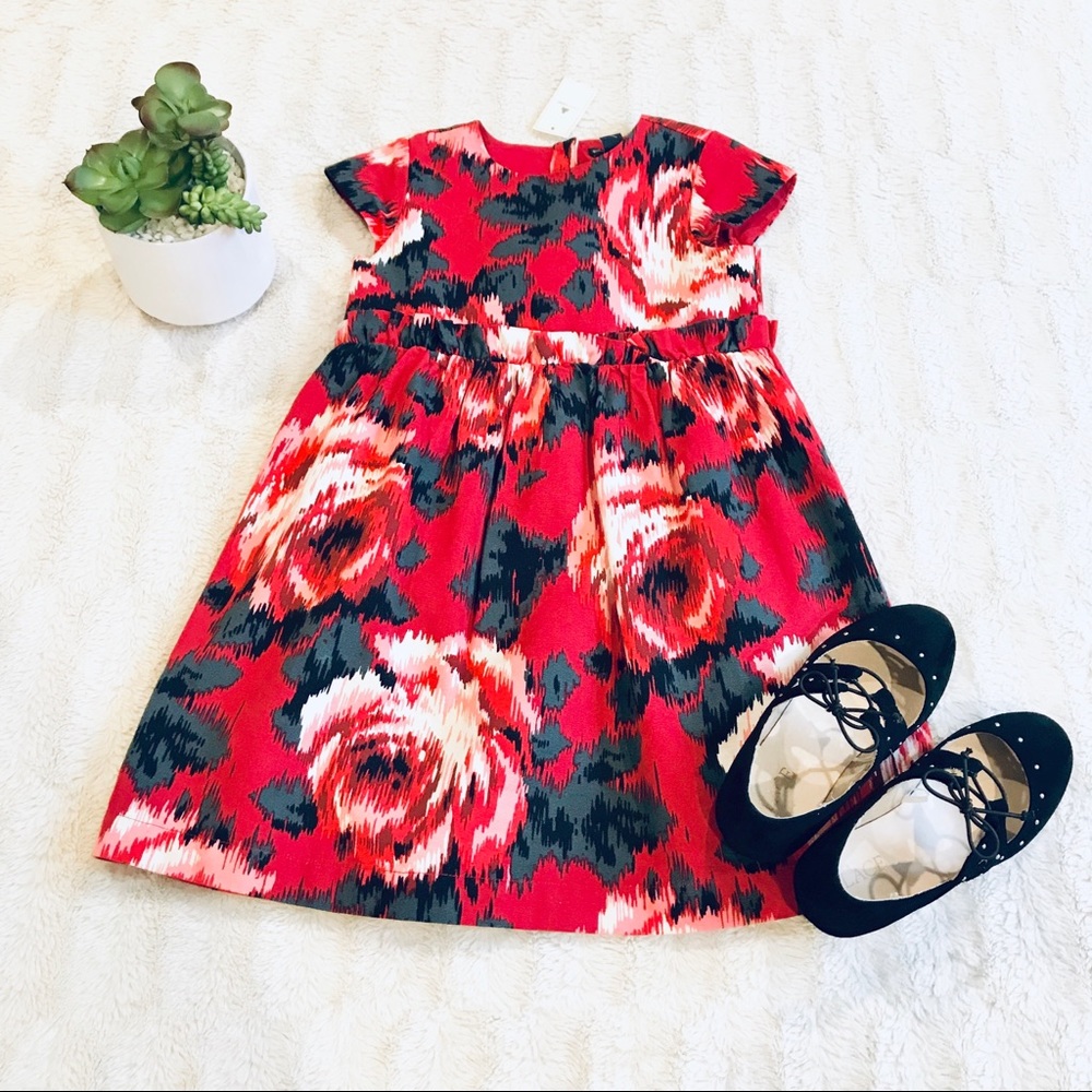 Baby GAP Flower Dress
